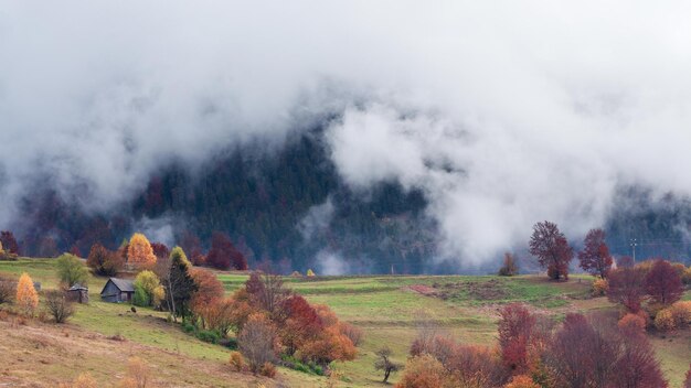 Клип промежуток времени Фантастический красочный горный пейзаж с облаком Украина Карпаты