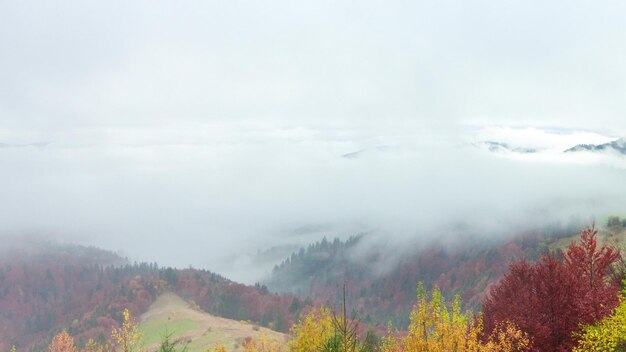 Time lapse clip Fantastic colorful mountain landscape with cloud Ukraine Carpathian Mountains