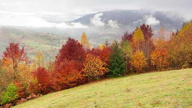 Time-lapse clip Fantastisch kleurrijk berglandschap met wolk Oekraïne Karpaten