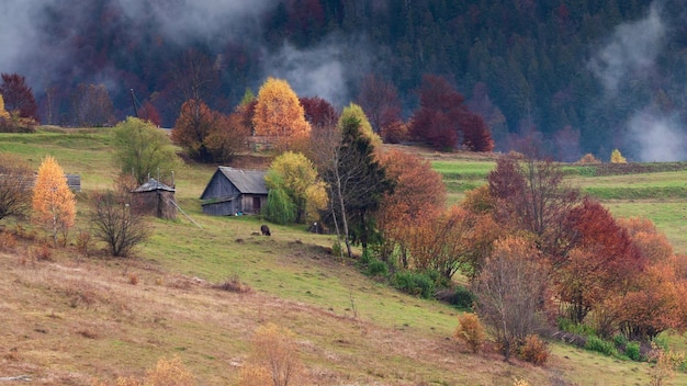 Time-lapse clip Fantastisch kleurrijk berglandschap met wolk Oekraïne Karpaten