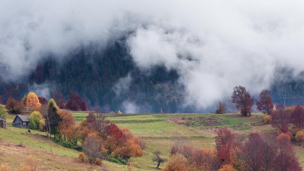 Time-lapse clip Fantastisch kleurrijk berglandschap met wolk Oekraïne Karpaten