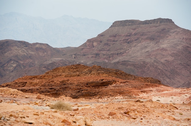 Photo timna nature park in the desert of southern israel.