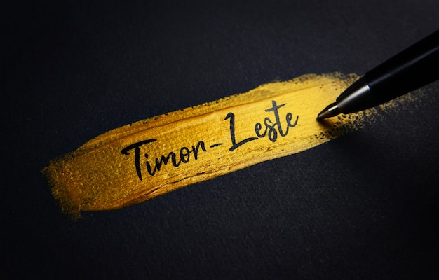 Текст рукописного текста Тимора-Лешти о золотом кисти
