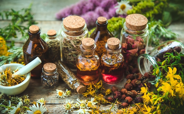 Photo tincture of medicinal herbs in bottles. nature.