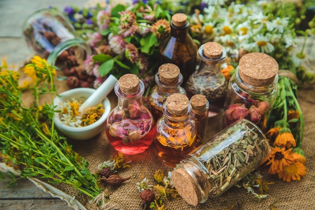 Tincture of medicinal herbs in bottles. Nature.