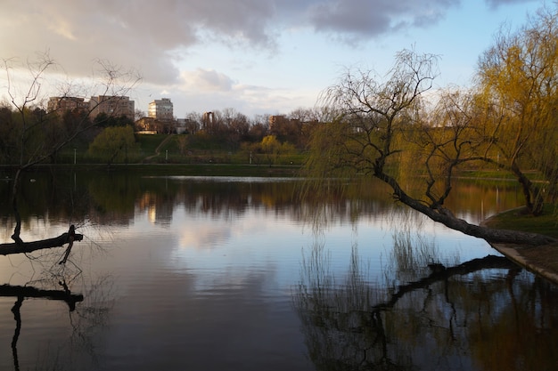 Photo tineretului park lake view, bucharest