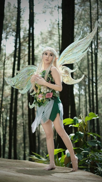 Photo tinker bell