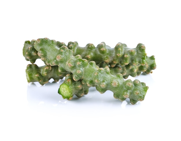 Трава Tinospora cordifolia, изолированные на белом фоне