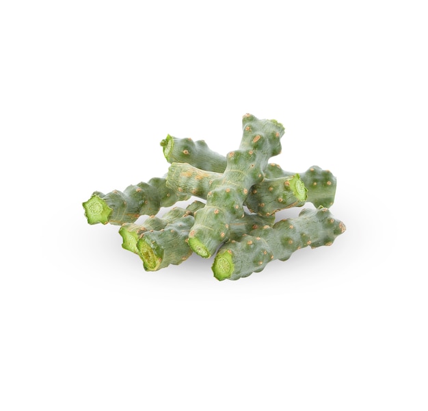 Tinospora cordifolia herb isolated