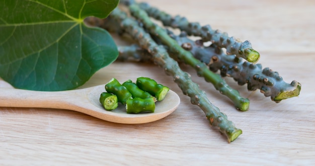 tinospora giloy herb on wooden