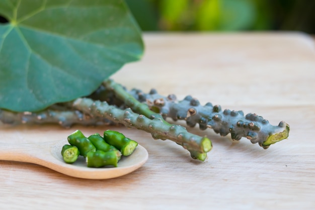 tinospora giloy herb on wooden