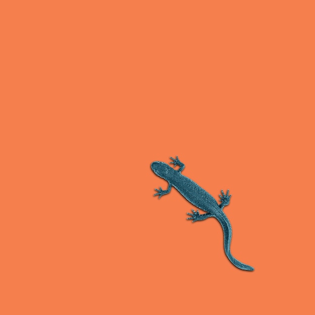 Photo tinted blue lizard on an orange background. color trend.