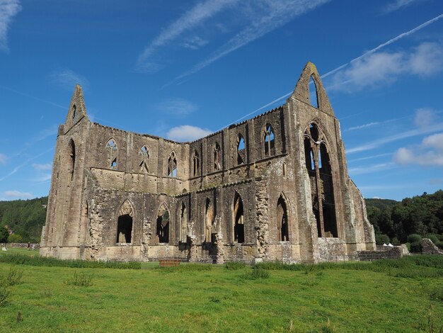 Tintern의 Tintern Abbey(Abaty Tyndyrn)