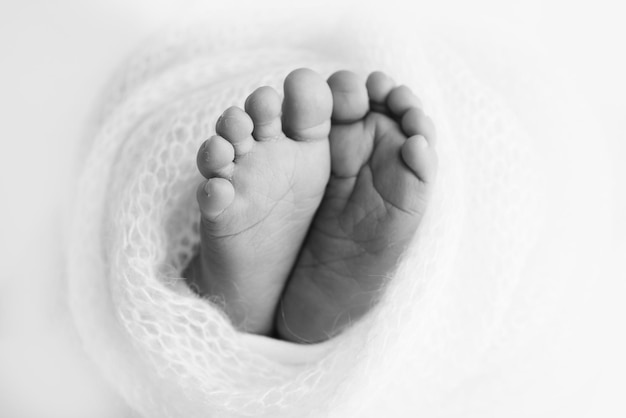 The tiny foot of a newborn baby Soft feet of a new born in a blanket Close up toes heels and feet of a newborn Black and white Macro photography