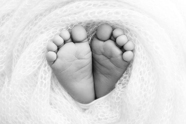 The tiny foot of a newborn baby Soft feet of a new born in a wool blanket Close up of toes heels and feet of a newborn Black and white Macro photography