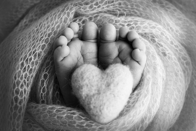 The tiny foot of a newborn baby Soft feet of a new born in a wool blanket Close up of toes heels and feet of a newborn Knitted heart in the legs of baby Macro photography Black and white