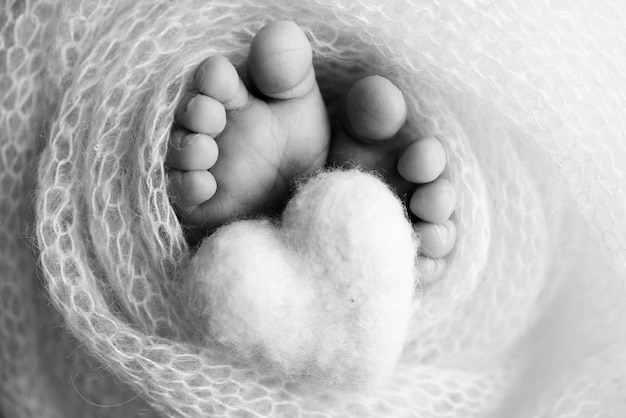 The tiny foot of a newborn baby Soft feet of a new born in a wool blanket Close up of toes heels and feet of a newborn Knitted heart in the legs of baby Macro photography Black and white