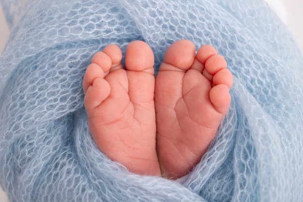 The tiny foot of a newborn Soft feet of a newborn in a blue woolen blanket Close up of toes heels and feet of a newborn baby Studio Macro photography Woman39s happiness Concept