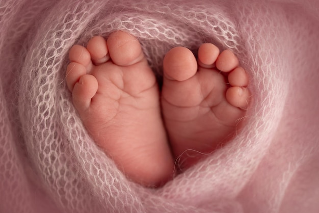 Il minuscolo piede di un neonato. piedi morbidi di un neonato in una coperta di lana rosa. primo piano delle dita dei piedi, dei talloni e dei piedi di un neonato. studio macrofotografia. la felicità della donna. concetto.