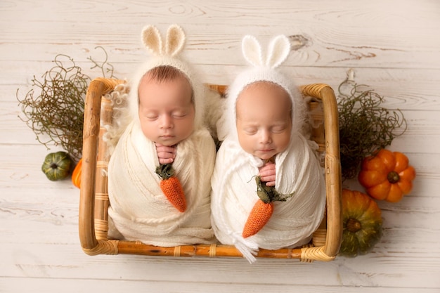 Tiny newborn twins boys in white cocoons in a wooden basket against a light wood background A newborn twin boy sleeps next to his brother Bunny hats with ears and orange carrots High quality photo