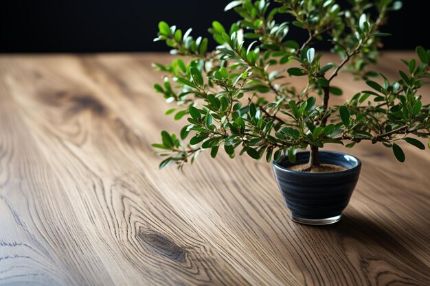 Tiny tree adorns wooden surface merging natures beauty with interior charm
