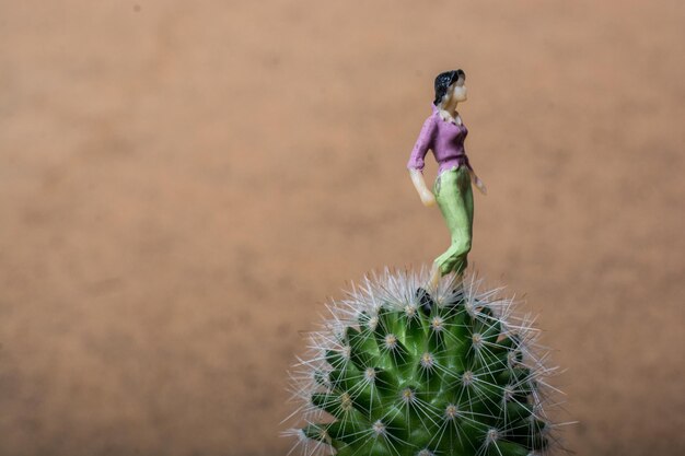 Tiny woman figurine standing on a on cactus plant