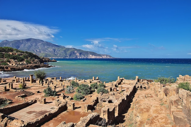 Photo tipaza roman ruins of stone and sand in algeria, africa