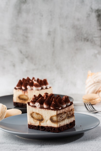 Tiramisu - Classical dessert with mascarpone and coffee. Delicious Tiramisu cake on a darck plate on a light marble background. Vertical photo.