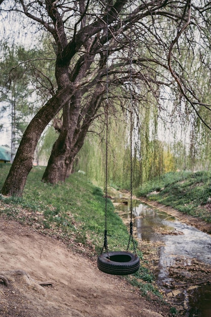 A tire swinr in Radenci in the outdoors