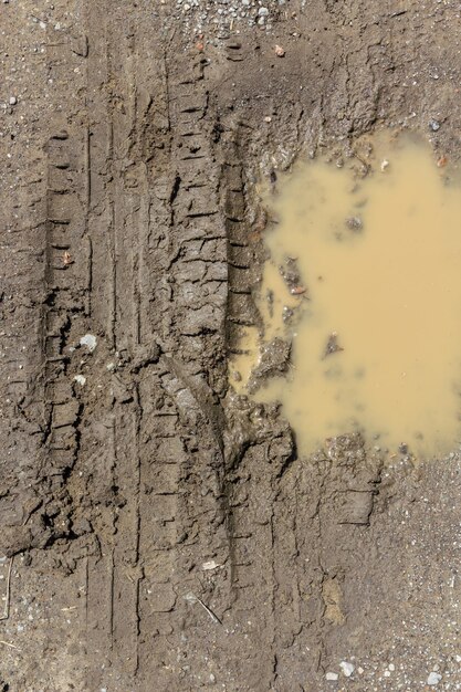 写真 泥の中のタイヤの痕跡