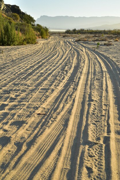 Photo tire tracks on dirt road