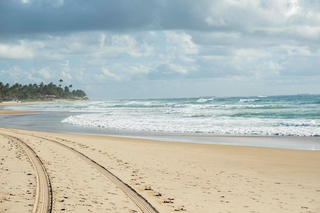 Tire tracks and footprints in the sand in front of the beach