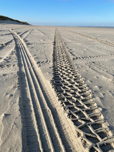 写真 砂漠でのタイヤの痕跡