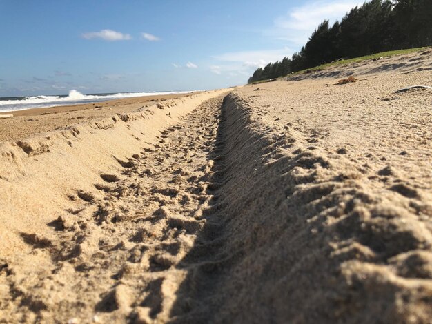 Photo tire tracks on sand at beach against sky
