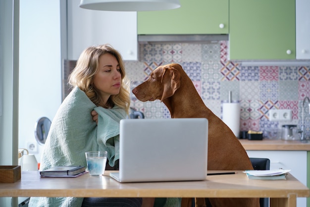 ノートパソコンで新しい求人を探している毛布の犬と一緒にキッチンで疲れた悲しい失業者の女性