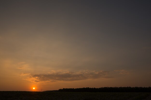 Tit zonsondergang uitzicht op het bos.