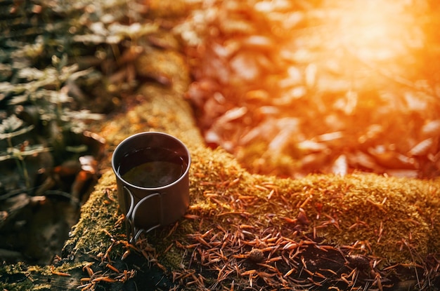 Titan metal mug on the trunk covered with moss Hike in the woods Tea or coffee time while adventure travel in the forest Tourism equipment concept