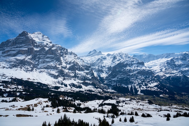 여름, 스위스에서 Titlis 산