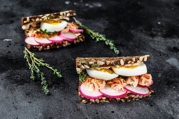 Toast from grain bread with hot smoked salmon, egg and radish.