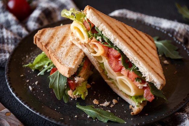 写真 チーズトマトと野菜のトーストサンド