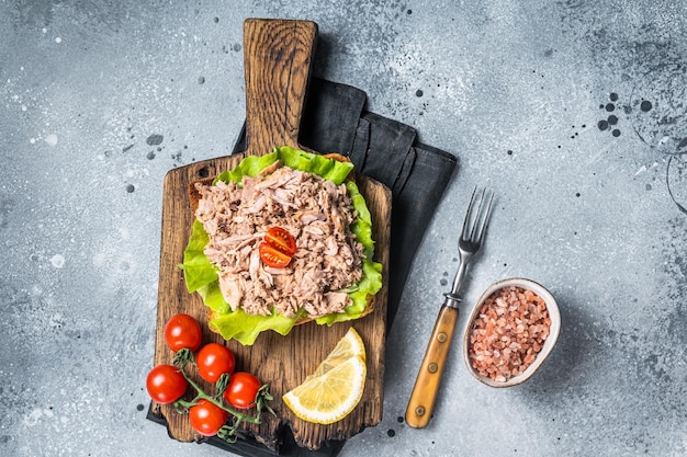 Photo toast with canned tuna fish fillet and salad gray background top view