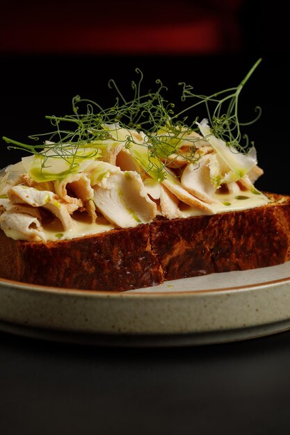 Toast with chicken fillet served with herbs on top