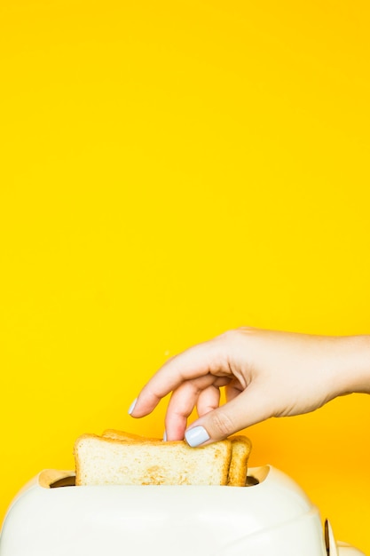 Toasted bread sticks out of the toaster on a yellow background