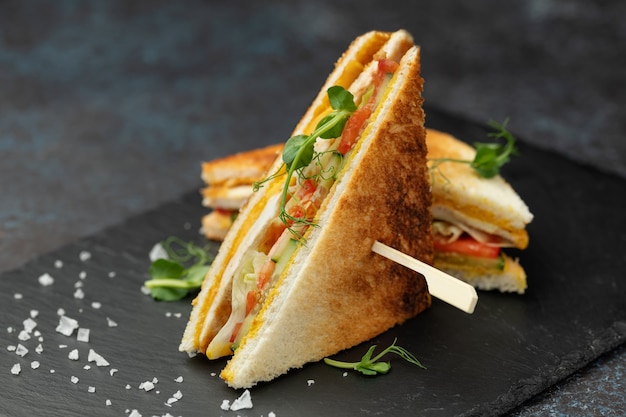 Toasted sandwich with chicken fillet, cheese, salad, cucumber and tomatoes on a black slate board