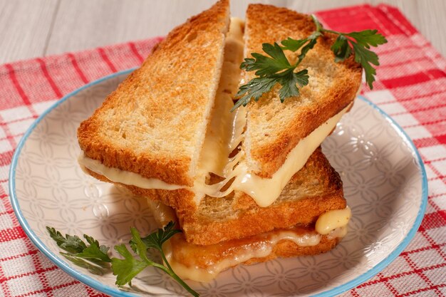 Fette di pane tostate con formaggio e prezzemolo verde su piatto bianco con tovagliolo da cucina rosso