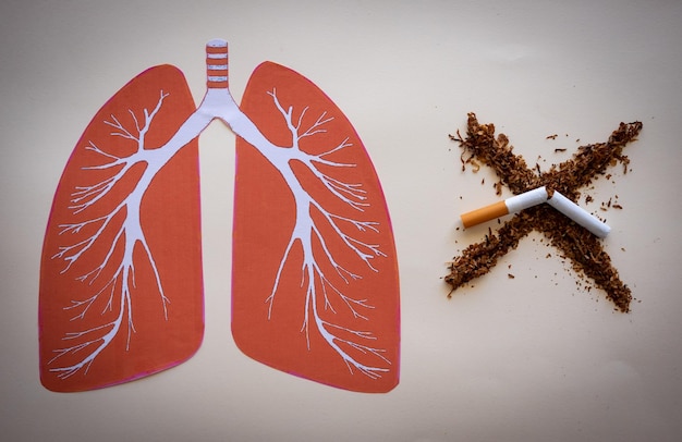 Tobacco and broken cigarette Stop smoking Cigarette nicotine damages lungs ruined by smoke World no tobacco day