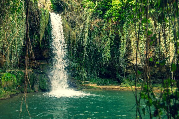 Foto cascata di tobera a burgos circondata da vegetazione verde situata in castiglia e leon spagna