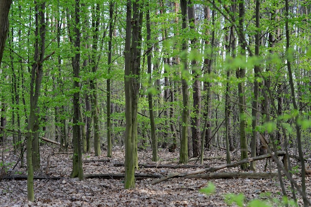 Tochka U-oorlog in Oekraïne