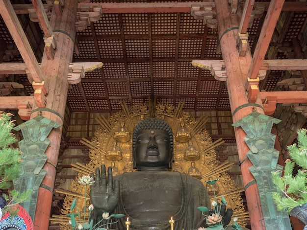 奈良の東大寺の風景。