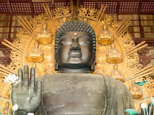 奈良の東大寺の風景。